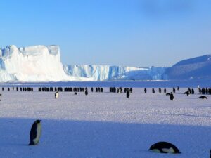 Trip to Antarctica