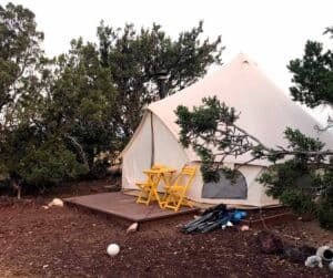 Yurt between trees