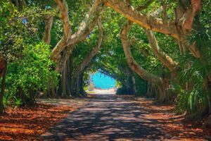 Boca Grande, FL, USA. Photo by shane fowler, Unsplash