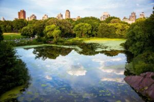 Central Park, New York. Photo by Hector Argüello Canals, Unsplash