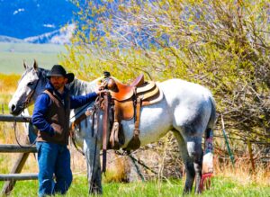 Cody Yellowstone Cowboy and his horse