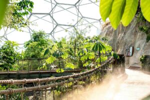 Eden Project, Cornwall. Photo by Jack Young, Unsplash