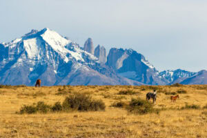 Torres del Paine NP