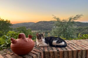 Housesitting in Andalusia in Spain. Photo by Jessica Holmes