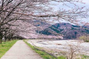 Kanuma, Tochigi, Japan. Photo by Yusheng Deng, Unsplash