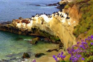 Things to do in La Jolla CA