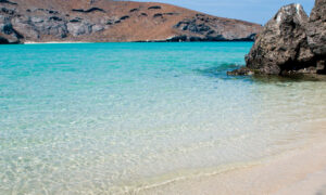 La Paz has many beautiful beaches nearby