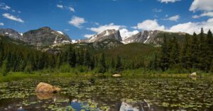 Lake Lilies in Estes. Photo courtesy of Estes Tourism Board