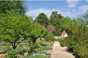 Mount Vernon Gardens