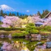 Fujinomiya, Shizuoka, Japan with Mt. Fuji and spring foliage at Taiseki-ji Temple.