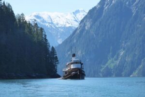 Our tugboat, the Swell, deep in the heart of the Great Bear Rainforest. Photo by Don Mankin