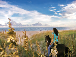 Outer Banks Cape Hatteras Horseback riding