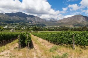 Paarl, South Africa