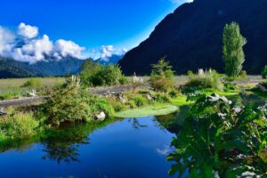 Peulla, Puerto Varas, Chile. Photo by Jeffrey Eisen, Unsplash