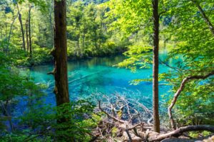 Plitvice Lakes National Park. Photo by Canva