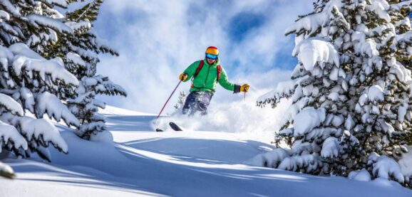 A person in a green coat and an orange helmet skis down a hill between the pine trees