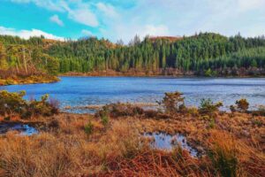 Skye’s boggy Peatland. Photo by Eva Badola