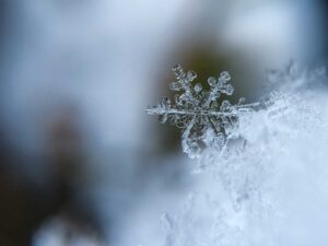 Icy snowflake. Photo by Unsplash