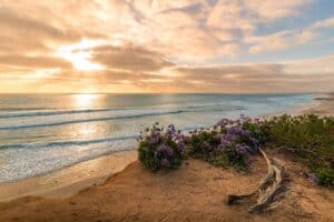 Cardiff State Beach in Southern California. CC Image by Chad McDonald