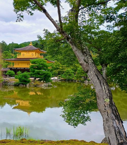 Kinkakuji Temple