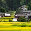 Traditional farmhouses dot the countryside throughout the Ishikawa Prefecture. Photo courtesy of Ishikawa Travel JP.