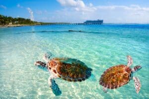 Top Things to do in Cancun