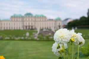 Vienna in the spring