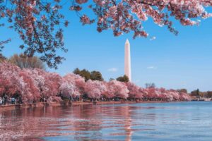 Washington DC, USA. Photo by Andy He, Unsplash