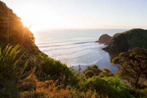 White's Beach, New Zealand. Photo by Kyle Myburgh, Unsplash