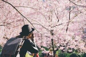 Woman photographing cherry blossoms. Photo by Getty Images for Unsplash +