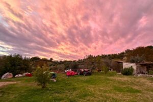 Workaway Farm in Italy. Photo by Isabella Miller